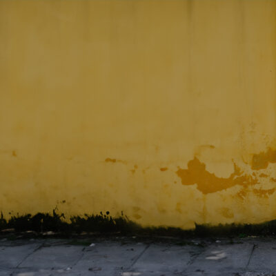 Alice from Band of Beans