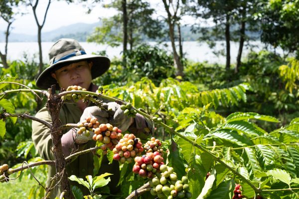 The Question That Started Everything