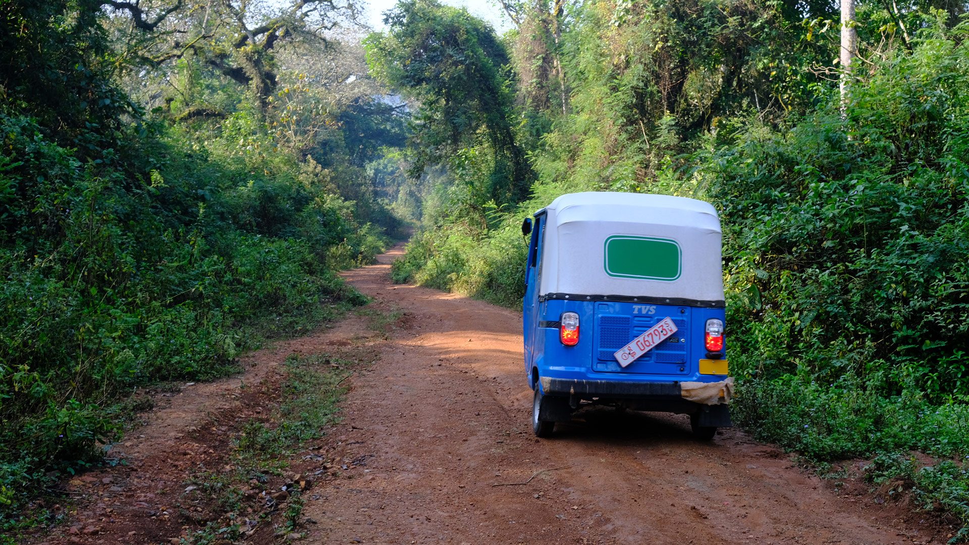 A blue tuk-tuk travels along a red dirt road through the Kaffa forest in Ethiopia, birthplace of coffee