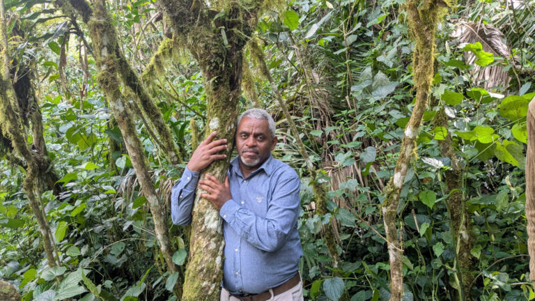 Solomon embraces an ancient wild coffee tree in Ethiopia's Kaffa forest, the birthplace of coffee